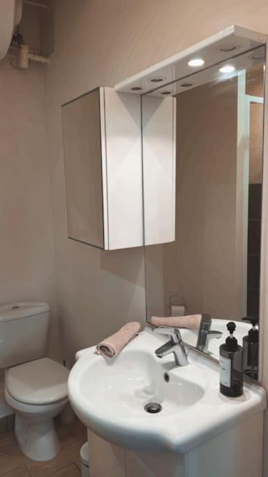 Beautiful F2 Apartment 5 Stops By Train From Paris Moret sur Loing Bagian luar foto